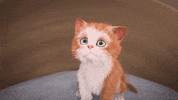 Tired Time For Bed GIF by MightyMike