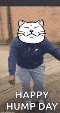 Cat Kitty GIF by ShiroNeko