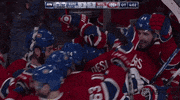 Ice Hockey Hug GIF by NHL