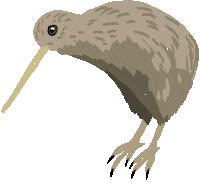 Kiwi Bird Sticker by Melissa Boardman