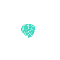 Openwater Swimming Sticker by Dominate the water