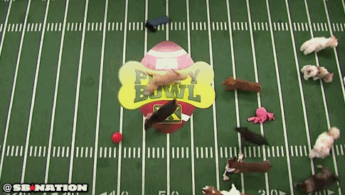 GIF by SB Nation