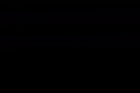 Photography GIF by The Buddies AG