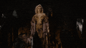 season 8 hbo GIF by Game of Thrones