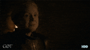 jaime lannister smile GIF by Game of Thrones
