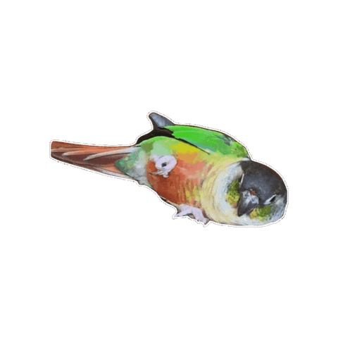 Couch Potato Sticker