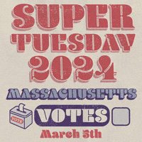Super Tuesday Vote GIF