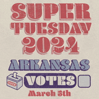 Super Tuesday Vote GIF