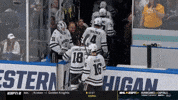 Western Michigan Broncos GIF by TheDreamTeam 