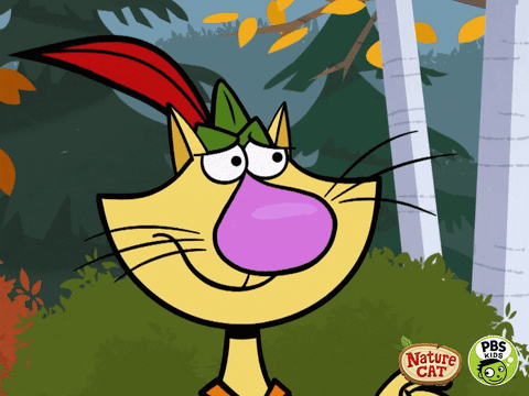 stinks nature cat GIF by PBS KIDS
