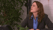 jim and pam GIF