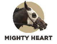Horse Racing Sticker by Woodbine