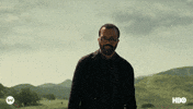 On Fire Bernard GIF by Westworld HBO