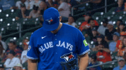 Blue Jays Mlb GIF by Toronto Blue Jays