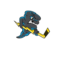 QCStorm storm quad city storm qcstorm qc storm Sticker