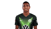 João Victor Soccer Sticker by VfL Wolfsburg
