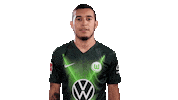 Soccer Instagram Sticker by VfL Wolfsburg
