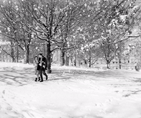 eku #snow GIF by Eastern Kentucky University