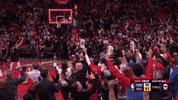 Celebration Win GIF by NBA