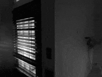 diamond youth GIF by Topshelf Records