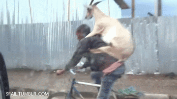 bike with goat GIF by Electric Cyclery