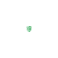 FV09Niefern fussball fvn niefern fv09niefern Sticker