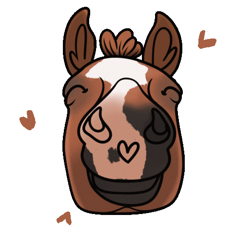 Photography Cheval Sticker