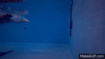 skillsnt giphyupload GIF