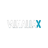 Valhallax valhallax valhallaxgames valhallaxtudio Sticker