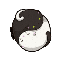 Universe Sticker by Valhallax
