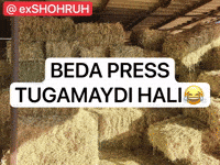 Press GIF