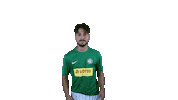 Soccer Belive Sticker by HSC Hannover