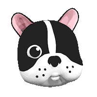 Dog Reaction Sticker by pogipets