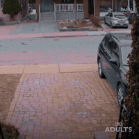 Not Happening Fx Networks GIF by Adults