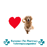 Lab Retrieve Sticker by Europeanpetpharmacy