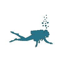 Scuba Diving Sticker by Midwest Mermaids Scuba