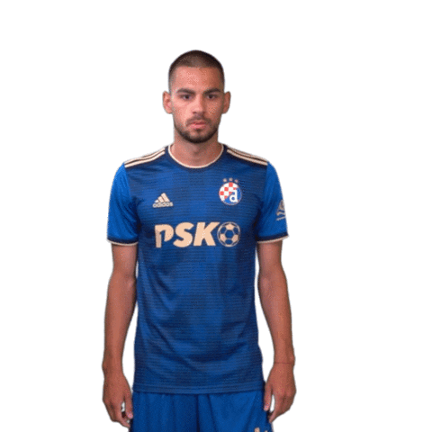 Football Soccer Sticker by GNK Dinamo