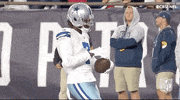 Pick Six Dallas Cowboys GIF by NFL