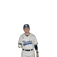Clarke Baseball Sticker by Clarke University