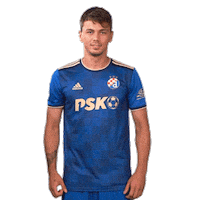 Football Soccer Sticker by GNK Dinamo