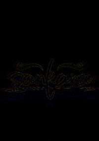 intheflight sankara GIF
