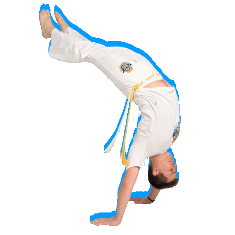 Sport Capoeira Sticker by Volodymyr Tkachuk