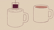 GIF by TishTash