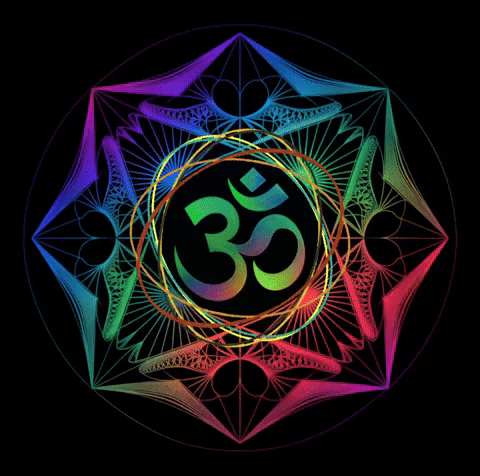 filippasdris giphyattribution GIF