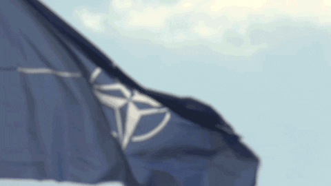 NATO giphyupload nato otan wearenato GIF