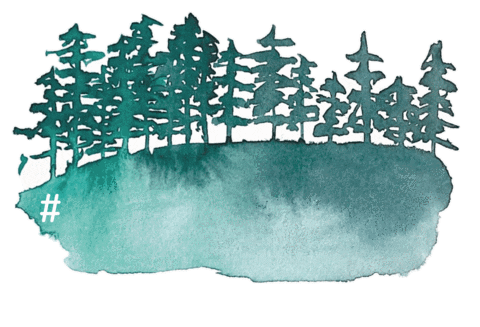 Photography Sticker by Annitography