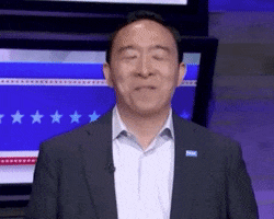 Andrew Yang Thumbs Up GIF by GIPHY News