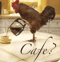 Cafe Chicken GIF