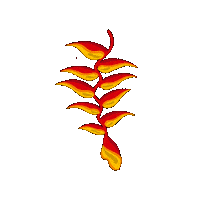 Flor Pacifico Sticker by Alejandro Eder