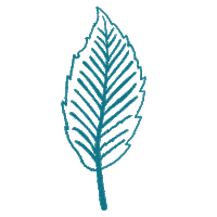 Leaf Leaves Sticker